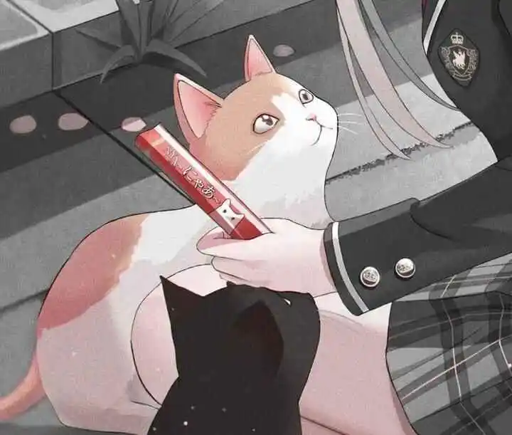 “DS关系”到底隐藏了哪些秘密？ 一