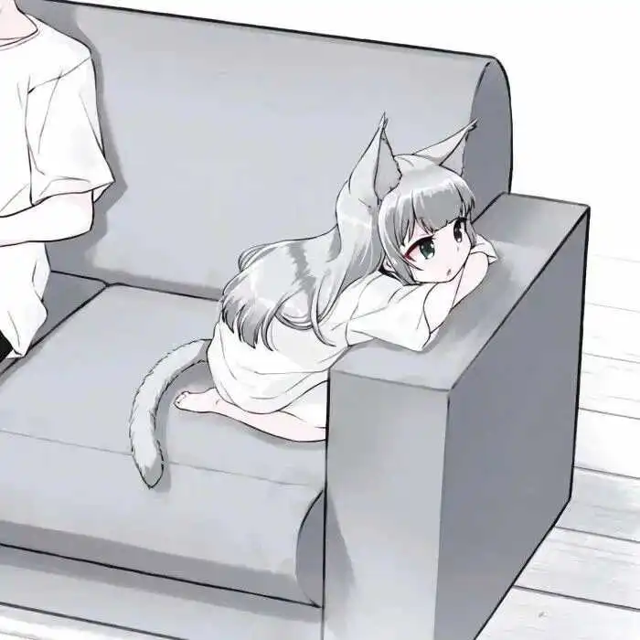 “k8猫系”——探索猫女王的世界与她们的秘密游戏！ 一