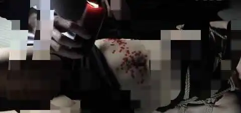 女王是什么样的存在？你知道她的魅力和权威吗？ 一