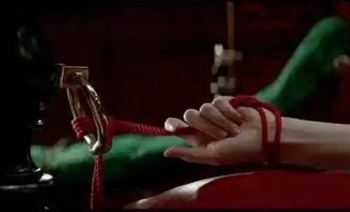 “SP小圈”中那些不可告人的秘密! 一