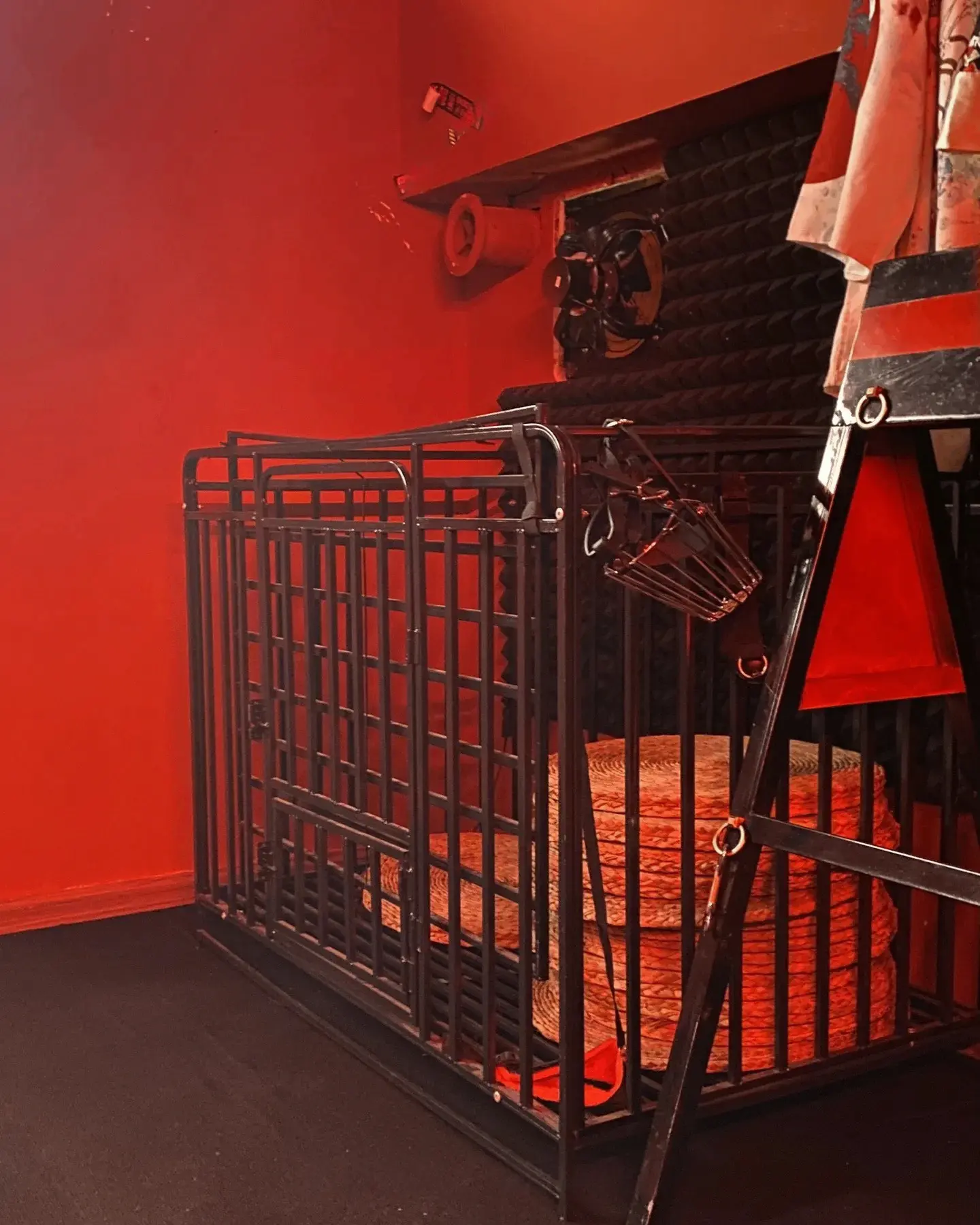 “S倾向”是什么？揭示这个性向背后的秘密 一