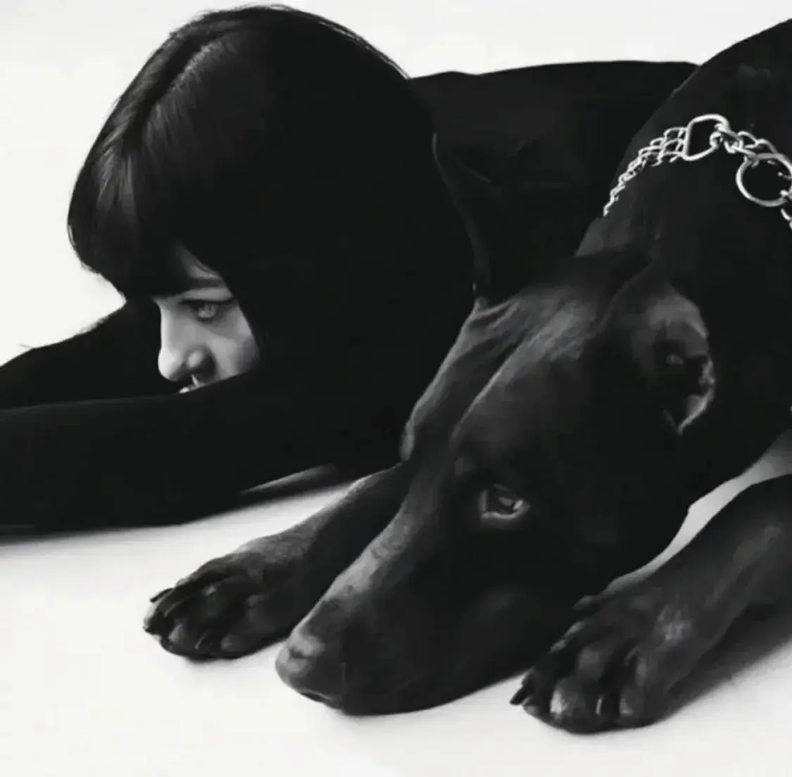 “你了解sp小圈的魅力吗?加入之前需要知道的秘密和技巧!” 一