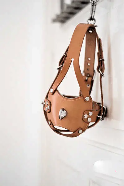 “你知道什么是DS关系吗？如何在这个领域找到合适的伙伴、建立健康的动态？” 一