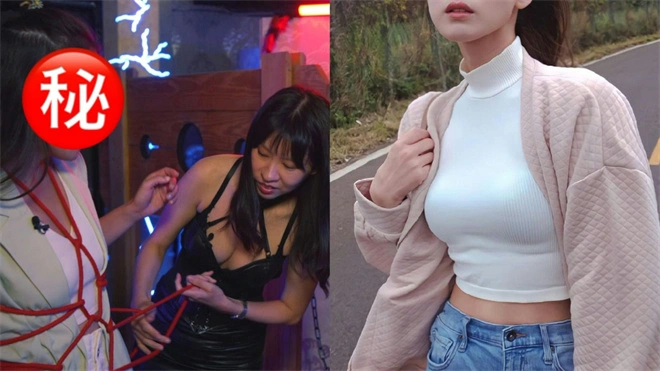 DS关系揭秘：如何理解Dom与Sub的心理游戏？ 一