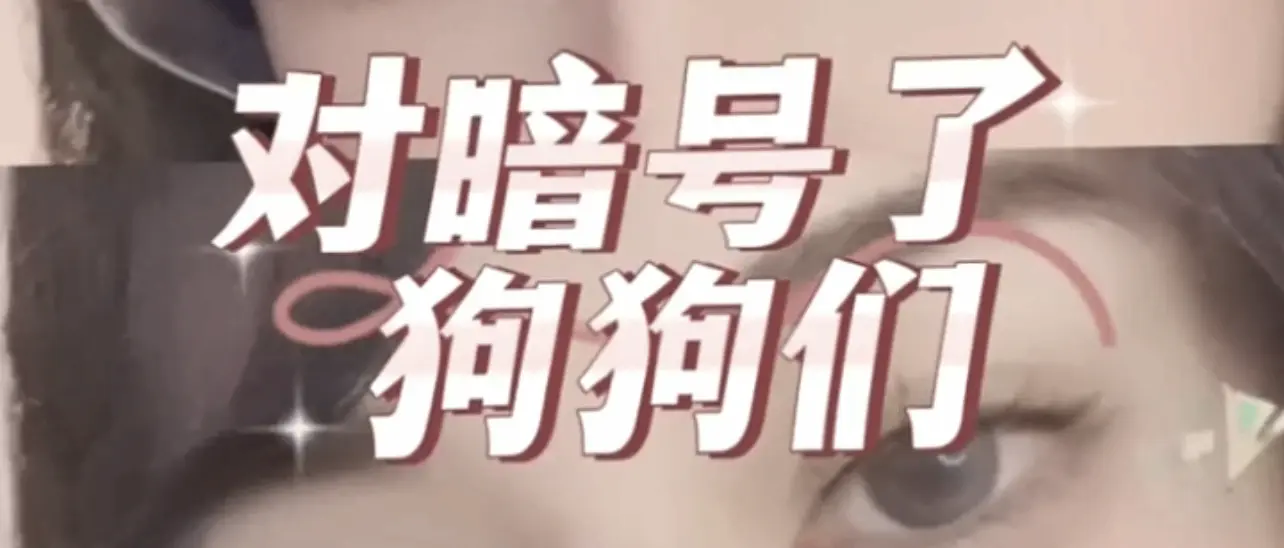 我和我的k8猫系伙伴们 一