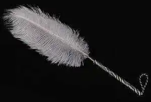 BDSM圈中的界限与信任:你了解这些基本规则吗? 一