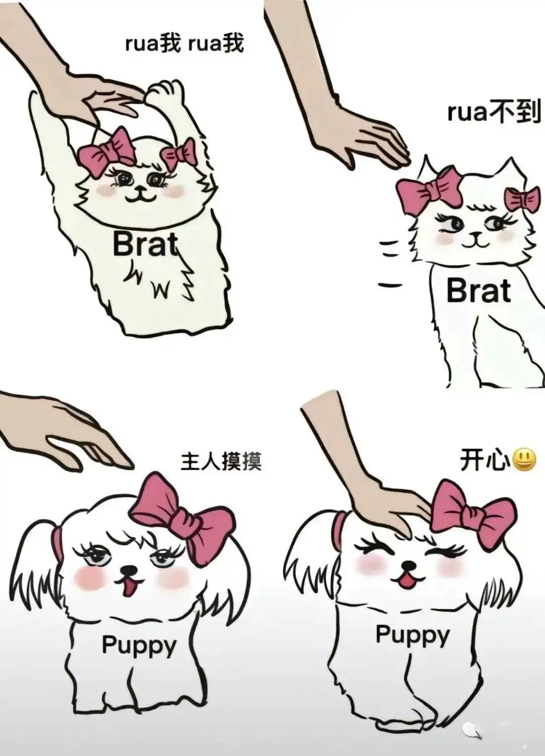 我的斯慕圈女友 一