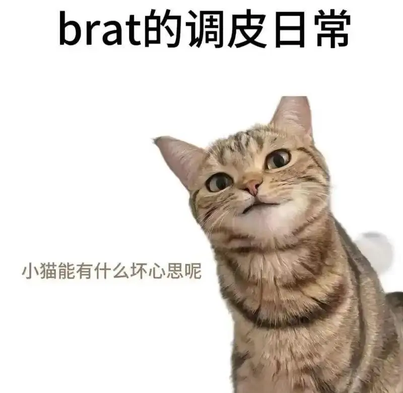 字母圈里的“安全词”到底怎么用? 一