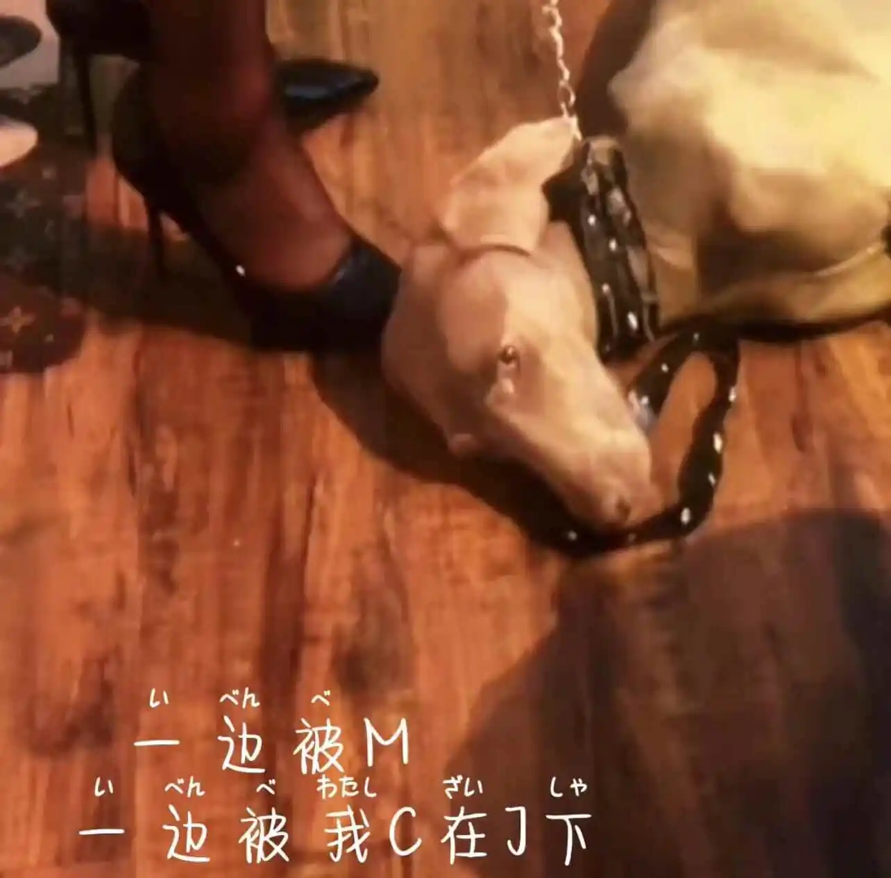 BDSM入圈前,那些隐秘的渴望是如何被发现的? 一