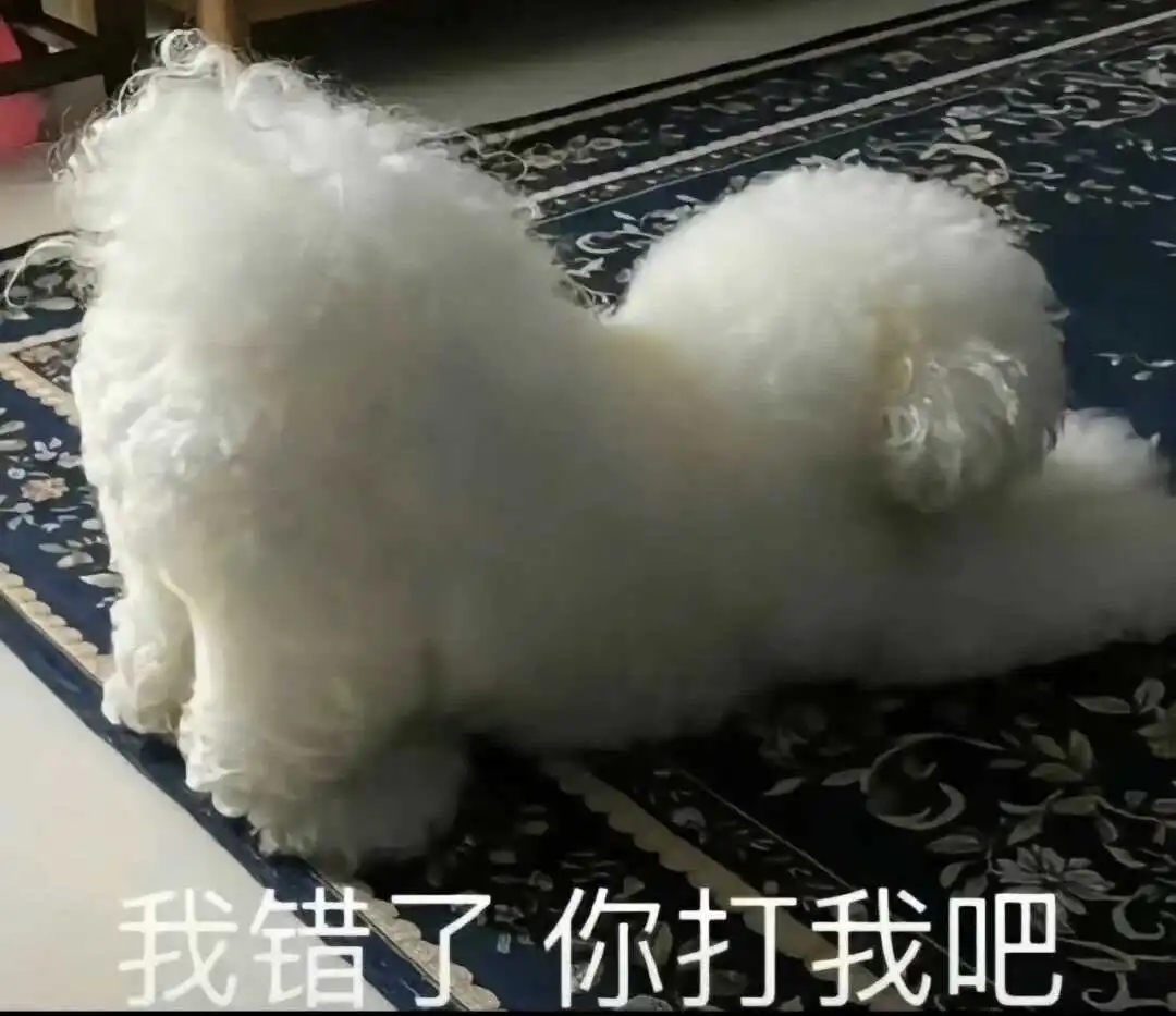 发现你的s属性:掌控欲爆棚的秘密? 一