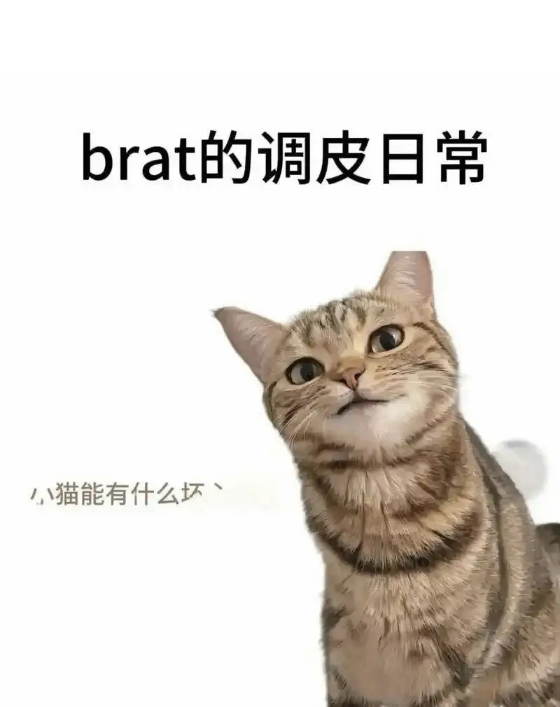 遇到brat属性的ta，怎么办？ 一