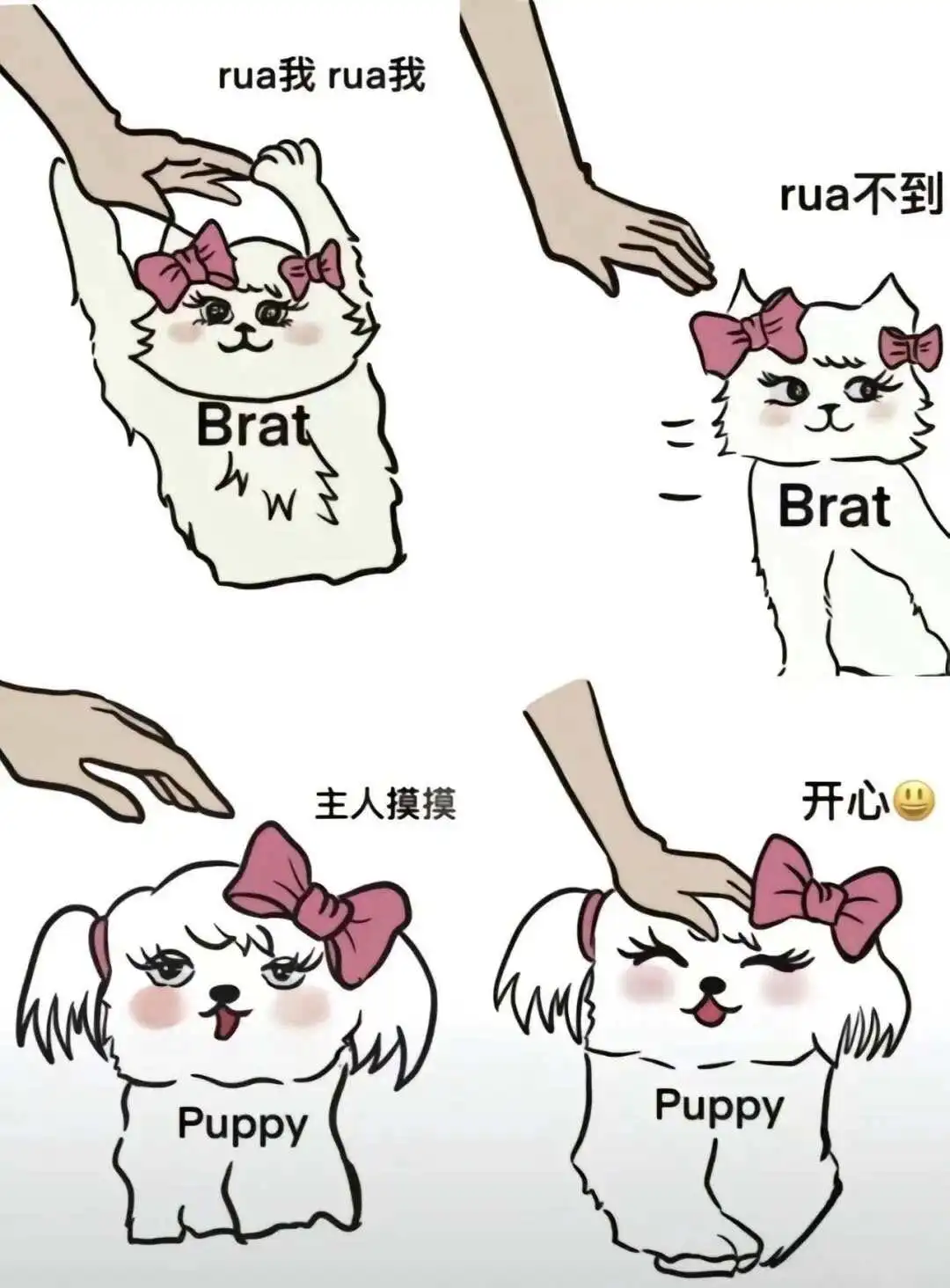 

西檬之家Dom是什么意思？字母圈新人入圈指南 一