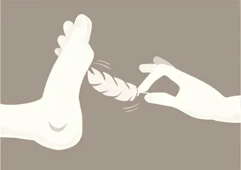 

西檬之家k9犬系入门指南 一